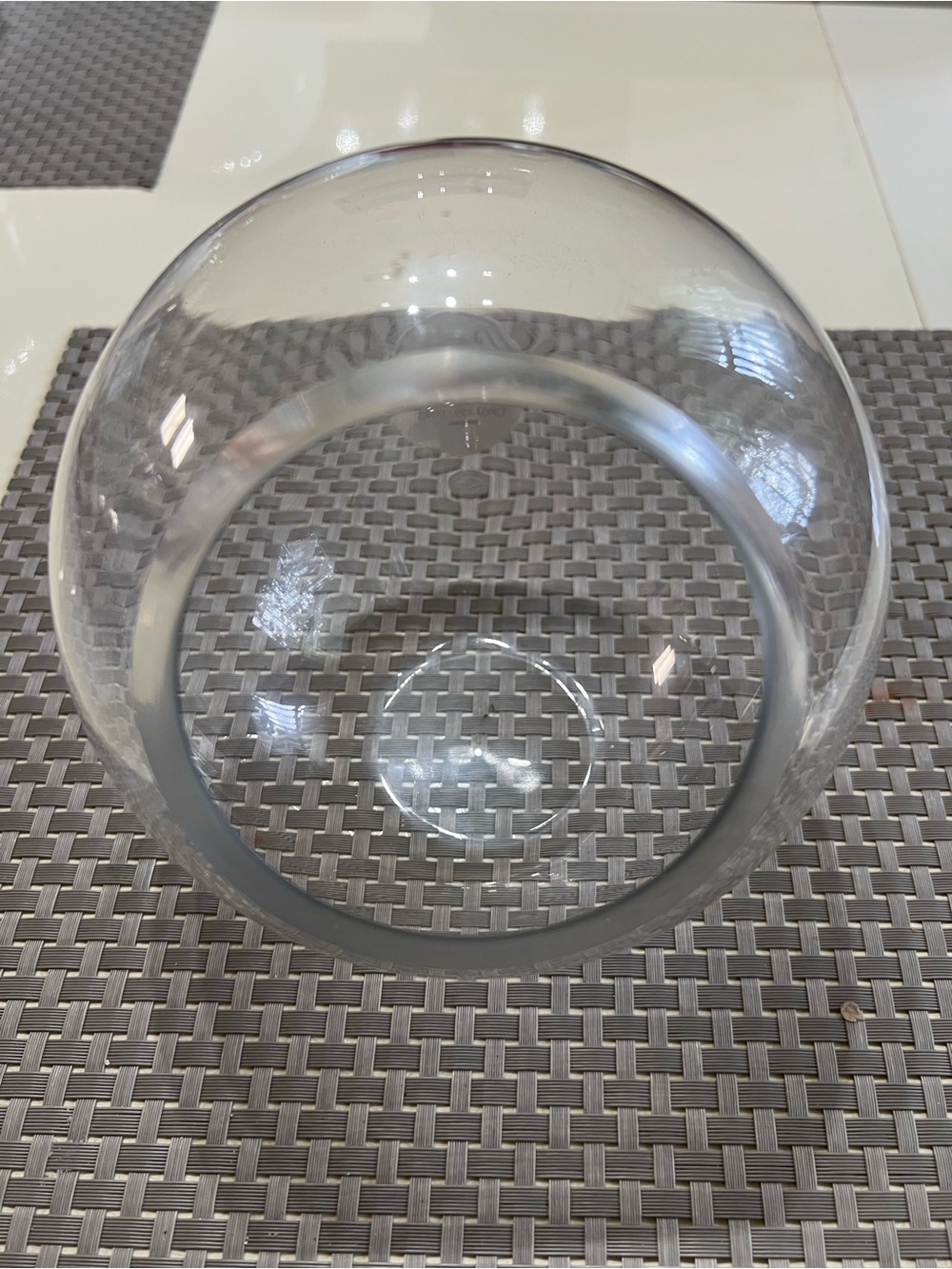 Medium Clear Glass Egg-Shaped Terrarium Vase